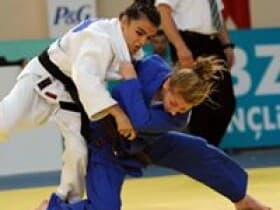 Anfa Dojo Sport - Main View