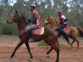 Al Farid