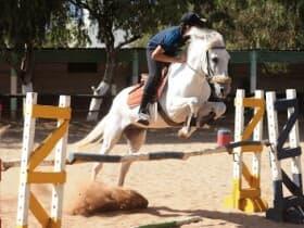 Club Equestrian Ould Jmel