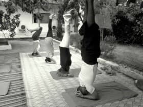 Daryoga