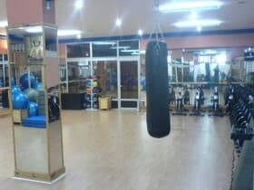 Palm Sport
