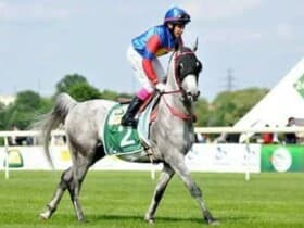 Hippodrome Casa-Anfa