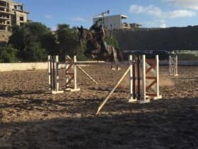 Royal Club Equestre Anfa