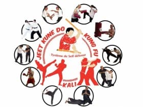 Kung Fu Mustafa - Main View