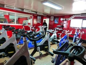 Gymnasia Cil