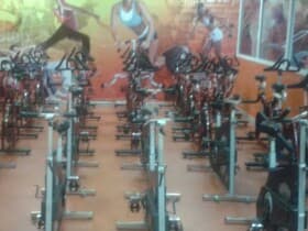 Gymnasia Polo