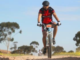 Moroccan Mountain Bikers